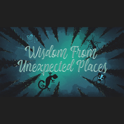 Southwoods Christian Church: Sundays At Southwoods