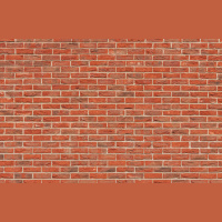 Leave Your White Savior Complex at Home