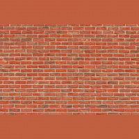 Leave Your White Savior Complex at Home