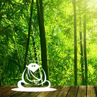 El poder de la atención plena