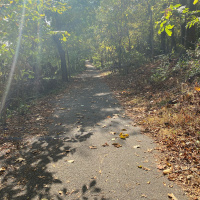 Coming Out of The Dark