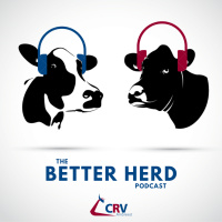 Lets talk animal evaluation