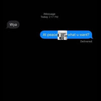 PEACE OVER EVERYTHING?? PT.1 CXXIV.