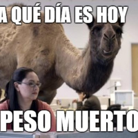 Chepa en Peso Muerto - Jorge Pérez