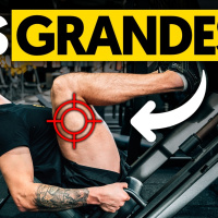 5 CLAVES para PRENSA DE PIERNAS (mejora su efectividad)