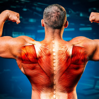 Ranking EJERCICIOS de ESPALDA ¡De Peor a Mejor!