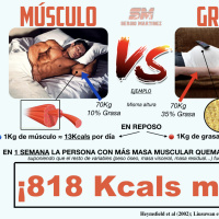 ¿Ganar músculo para perder grasa? - Sergio Martínez