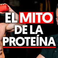 Por qué NO NECESITAS tanta PROTEÍNA como crees (nuevas investigaciones)