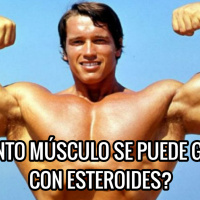 ¿Cuánto Músculo Se Puede Ganar Usando Esteroides? (I) - Ivan Alonso