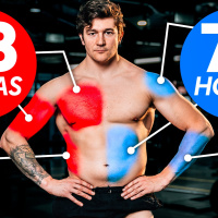 ¿Cuánto tiempo tarda el músculo en recuperarse de un entrenamiento?