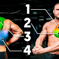 La MEJOR RUTINA de PECHO Y ESPALDA (Arnold)