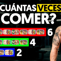 cuántas veces comer al día para maximizar las ganancias muscular?