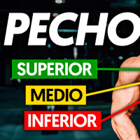 Mejores EJERCICIOS de PECHO según la ciencia (por partes)