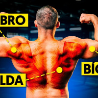 El Mejor ENTRENAMIENTO DE TIRÓN para GANAR MÚSCULO (Espalda, Hombro, Bíceps)