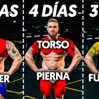 ¿CUÀL ES LA MEJOR RUTINA PARA GANAR MÚSCULO? Según la ciencia