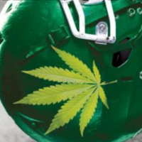 Cannabis y Rendimiento Deportivo - Álvaro Guzmán