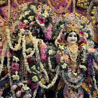 Vis at jiva Hare Krishna.m4a