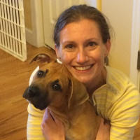 How to Get Organized in a Job Search with Stephanie Domanski 