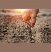 Episode 032: Johnny Appleseed