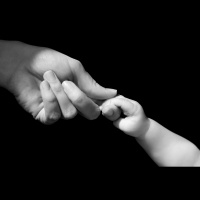 Episode 039: Take a Look at These Hands!