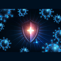 Episode 041: We Are The Immune System