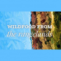 Wildfood from the Rangelands – Episode 21 – The Medical Model