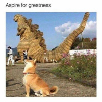 Episode 2: The Lost Episode