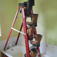 Weird Audio Productions PROCLAMATION 06-05-19