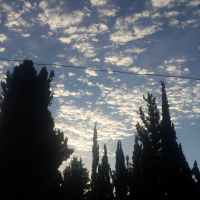 Un Cafe En Jerusalem - Capitulo 18