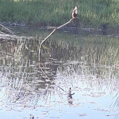 Un Cafe En Jerusalem