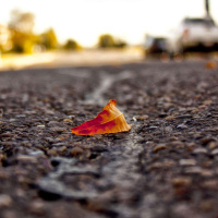 片头-《世界尽头的咖啡馆》