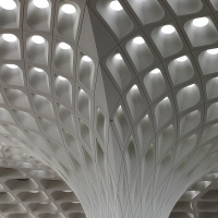 75: The India Trip That Broke My Heart