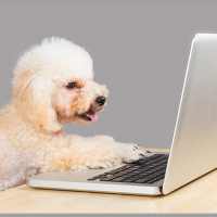 The Ghosts of Relationships Past