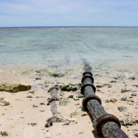 Apocalypse Survival Skill #7: The Internet is a Place