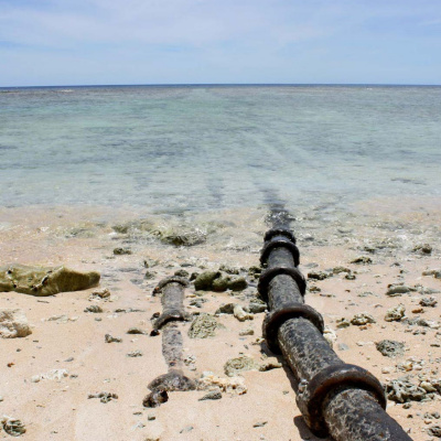 How To Survive The End Of The World