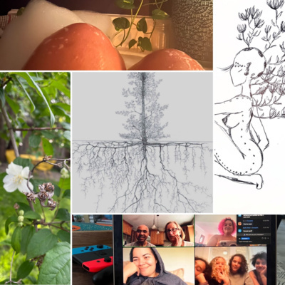 How To Survive The End Of The World