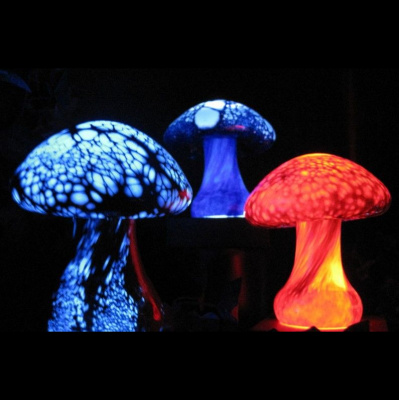 Science With Knob Jokes