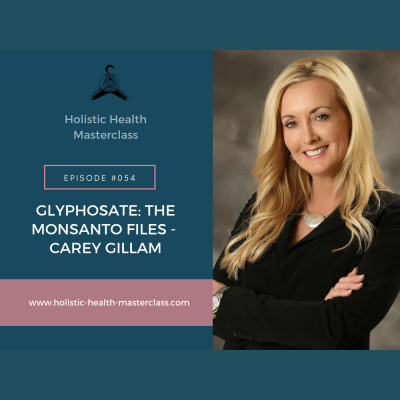 Holistic Health Masterclass Podcast