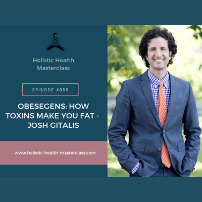 Holistic Health Masterclass Podcast