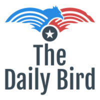 The Daily Bird Sept 8th