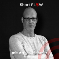 Attila Gelencsér - Short FLOW