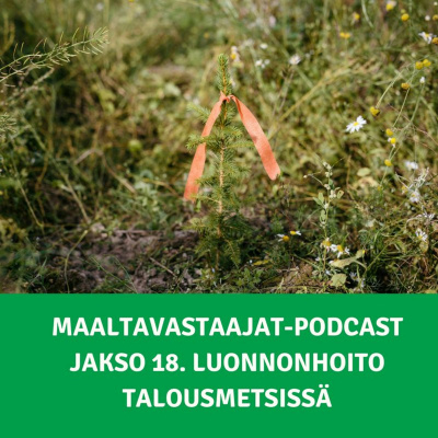 Maaltavastaajat