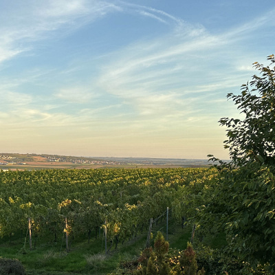 Reise-radioshow Auf Antenne Mainz - Jede Woche Neue Reisetipps