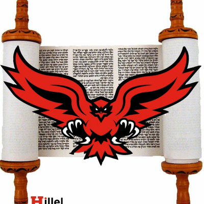 Hawktorah