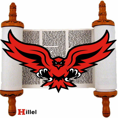 Hawktorah