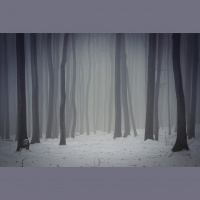 Episode 05: A Gray Winter’s Tale