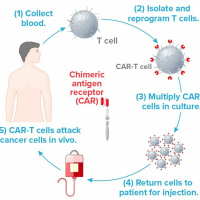 Test Lab Episode 7 - CAR - T