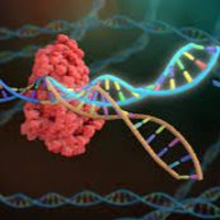 Test Lab Episode 5 - KRISPR