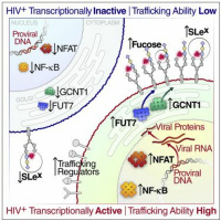 Test Lab Episode 6 - CD15