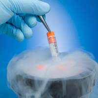 Test Lab Episode 10 - LN2